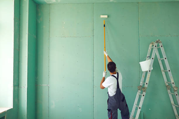 Best Attic Mold Removal  in Haskell, AR