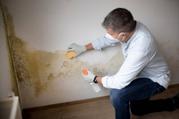 Best Air Quality Testing for Mold Spores  in Haskell, AR
