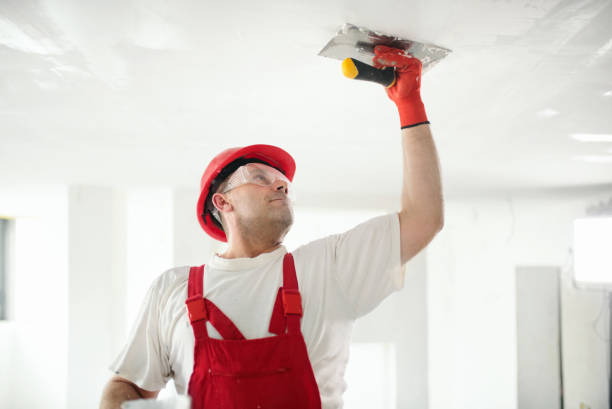 Best Environmental Consulting for Mold Prevention  in Haskell, AR