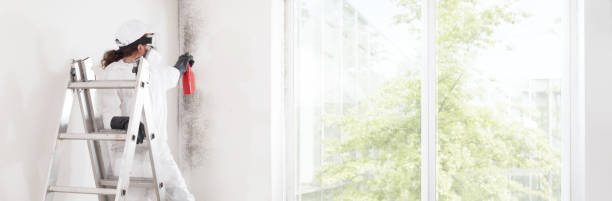 Best HVAC Mold Inspection and Cleaning  in Haskell, AR